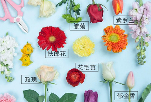《花儿爱消除》本周安卓平台上线预约送鲜花