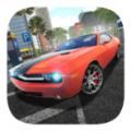 简易停车模拟器游戏官方手机版 v1.0.0